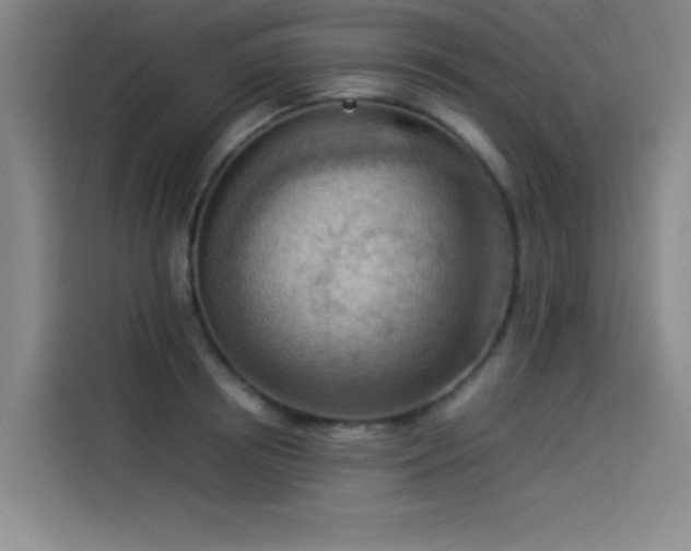 X0000114220850200910161306