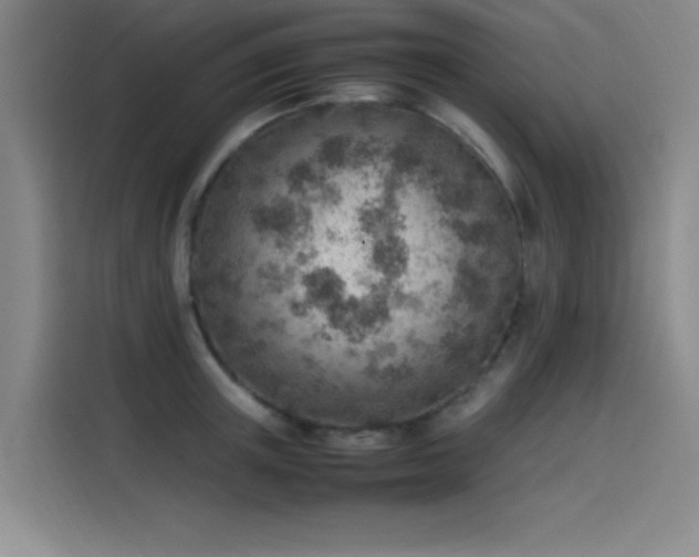 X0000114220851200910161306