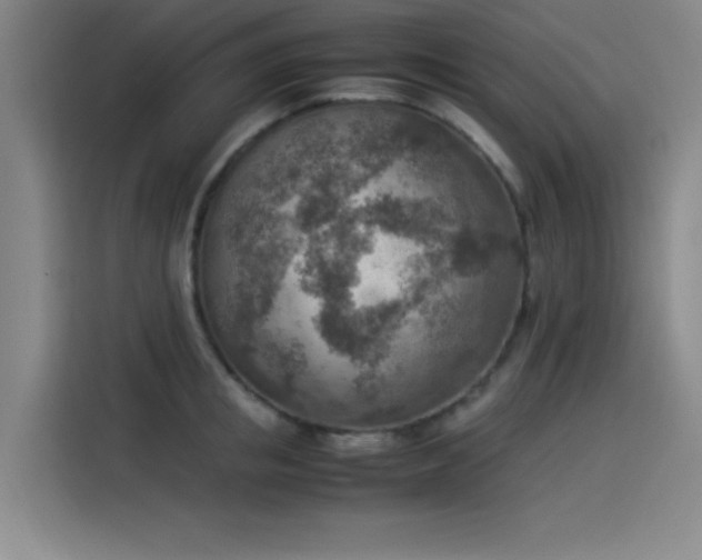 X0000114220853200910161306