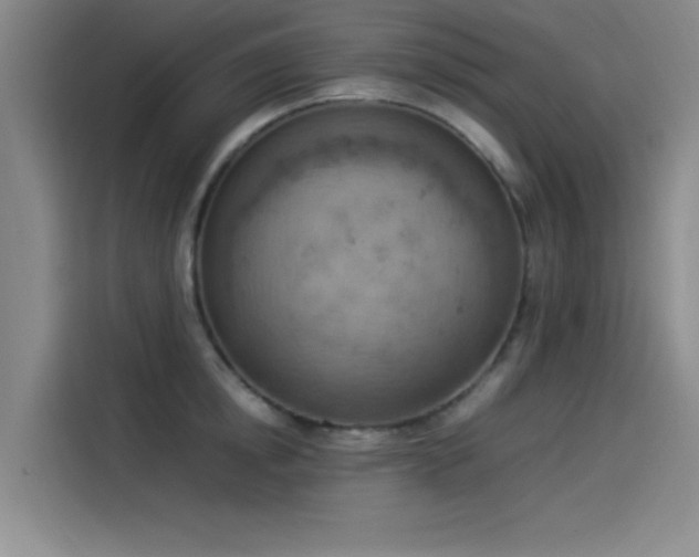 X0000114220854200910161306