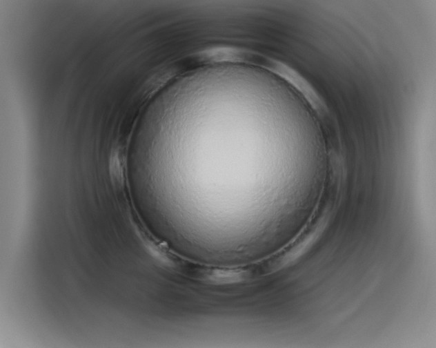 X0000114220857200910161306