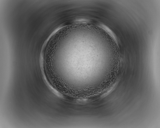 X0000114220859200910161306