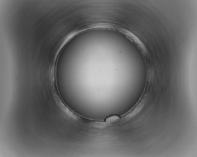 X0000114220860200910161306