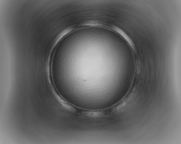 X0000114220861200910161306