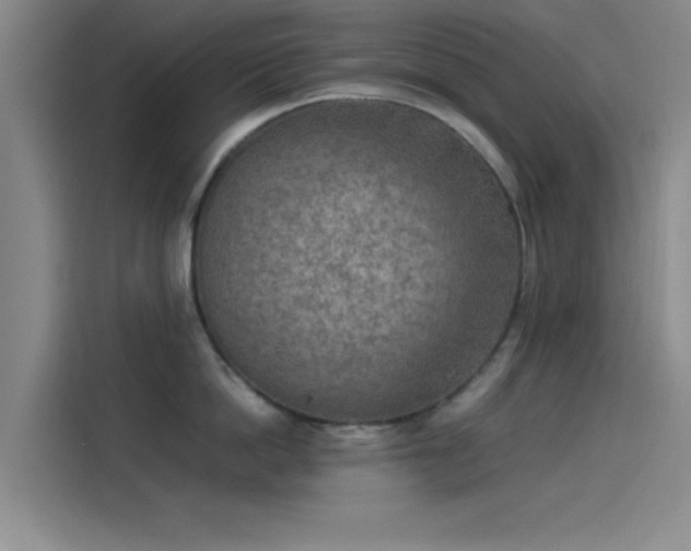 X0000114220862200910161306