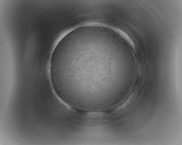 X0000114220863200910161306