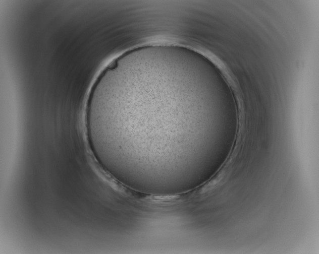 X0000114220864200910161306