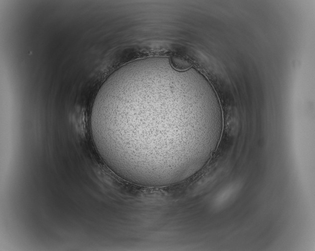 X0000114220866200910161305