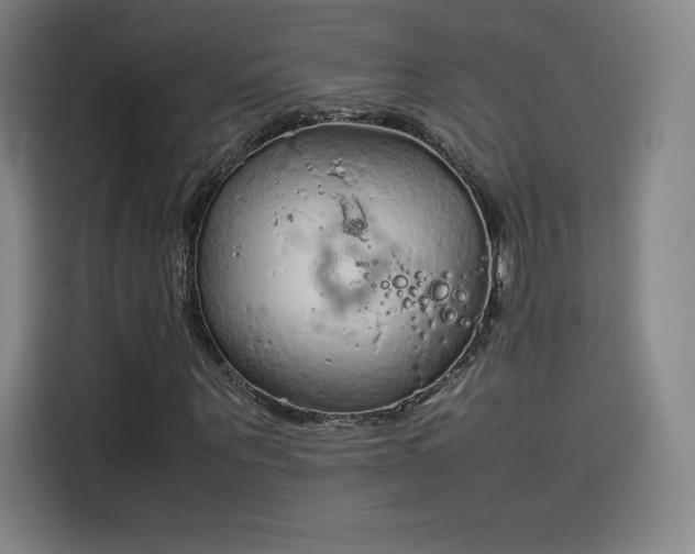 X0000114220867200910161305