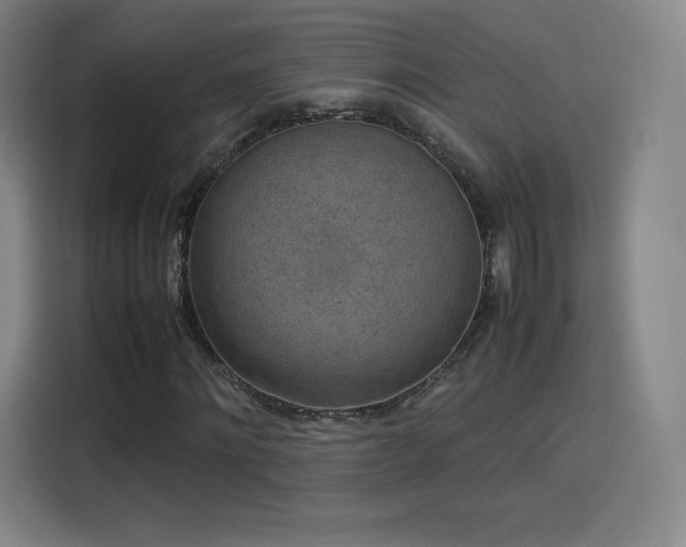 X0000114220868200910161305