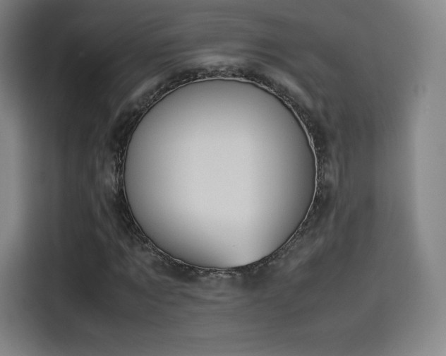 X0000114220869200910161305