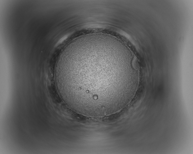 X0000114220871200910161305