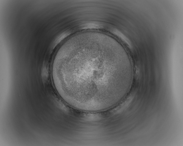 X0000114220874200910161305