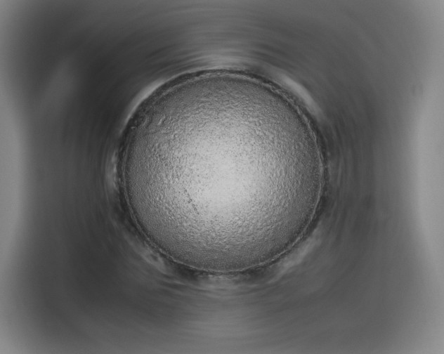 X0000114220875200910161305