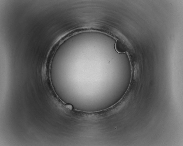 X0000114220876200910161305