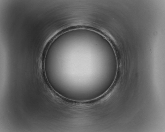 X0000114220877200910161305