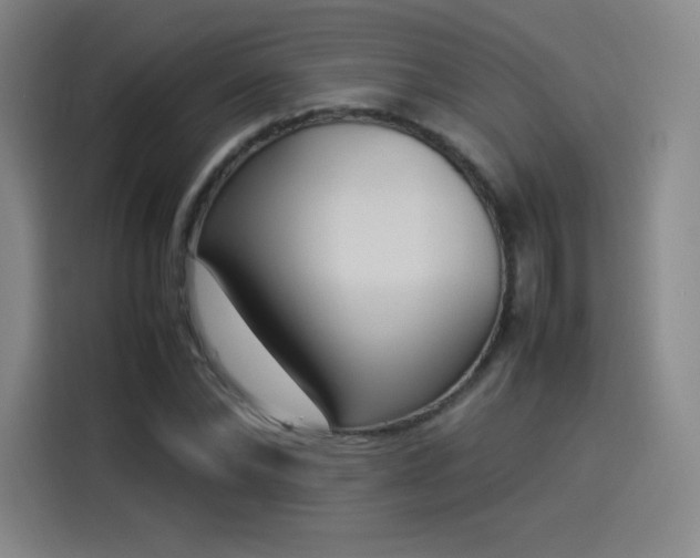 X0000114220878200910161305