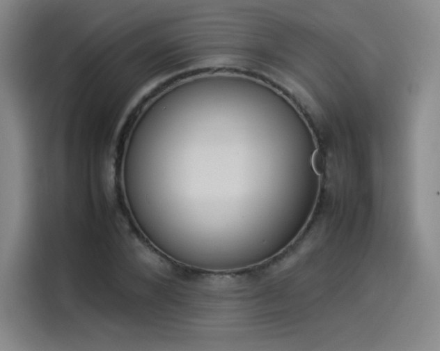 X0000114220880200910161305