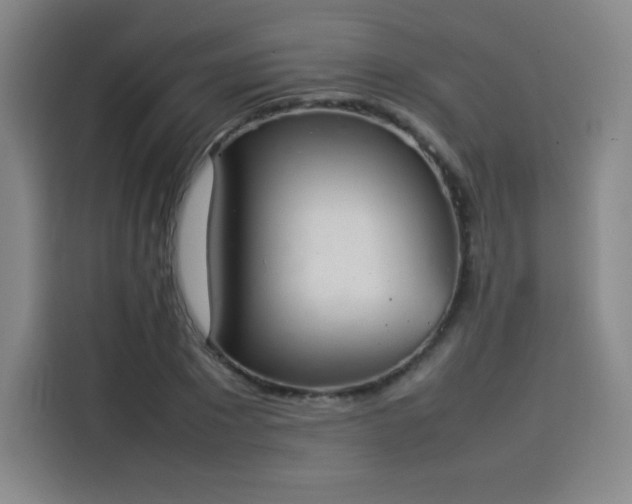 X0000114220881200910161305