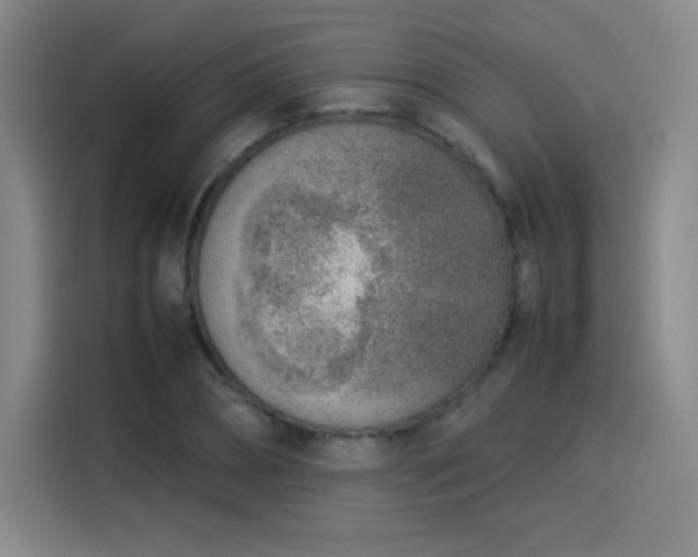 X0000114220882200910161305