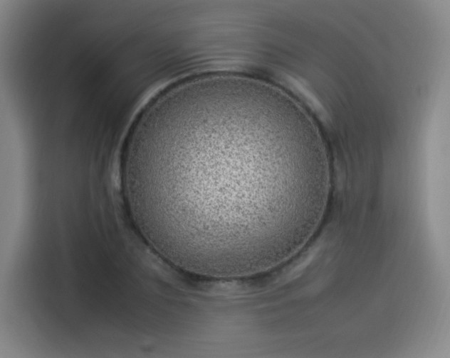 X0000114220883200910161305