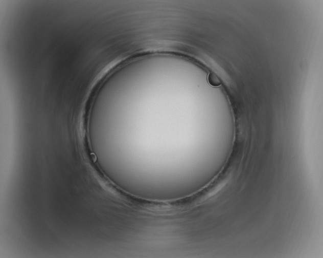 X0000114220885200910161305