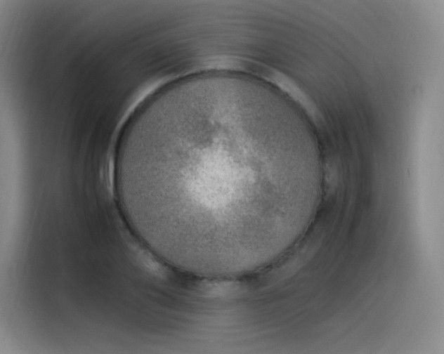 X0000114220886200910161305