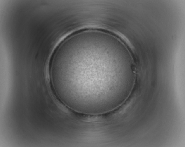 X0000114220887200910161305