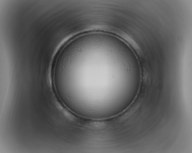 X0000114220888200910161305