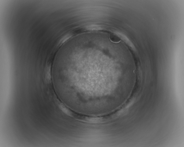 X0000114220889200910161305