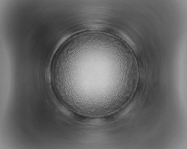 X0000114220891200910161305