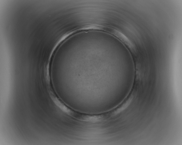 X0000114220892200910161305