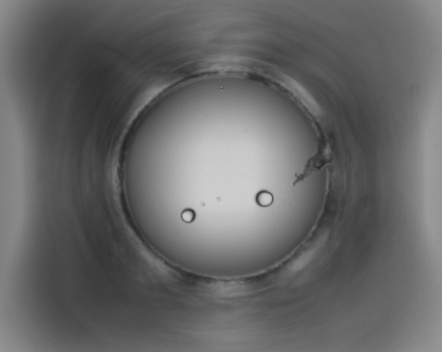 X0000114220893200910161305