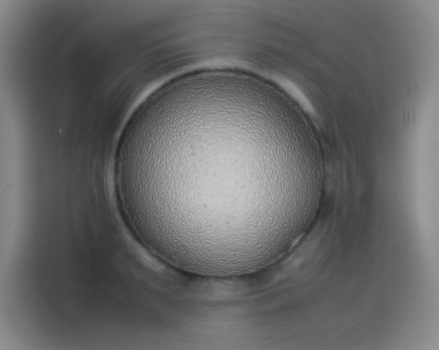 X0000114220895200910161305