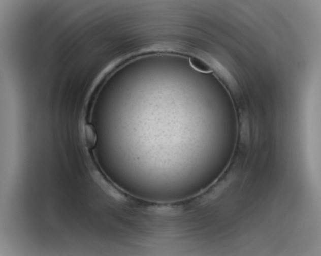 X0000114220896200910161305