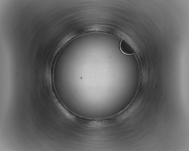 X0000114220898200910161305