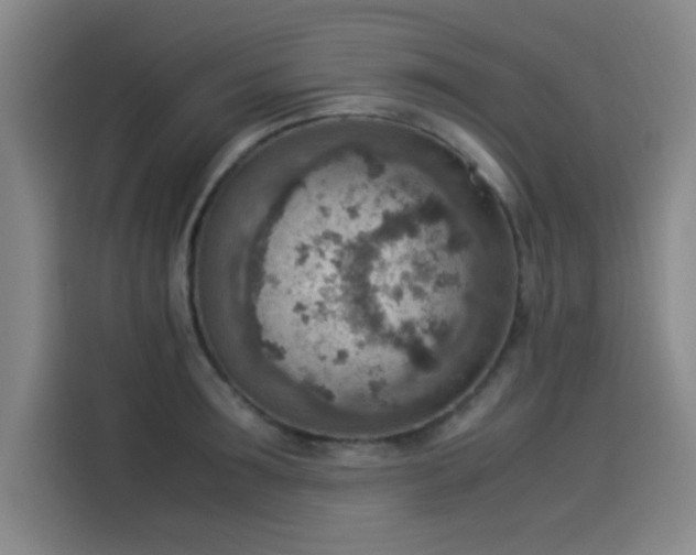 X0000114220899200910161305