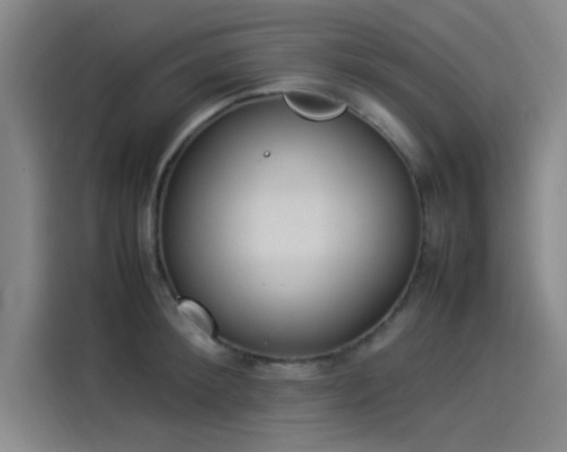 X0000114220900200910161305