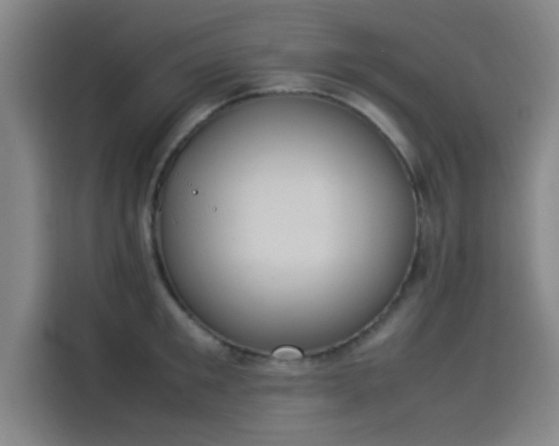 X0000114220901200910161305