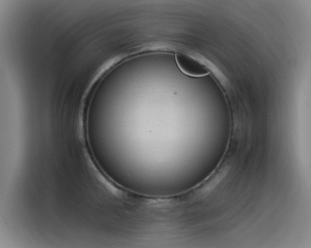 X0000114220902200910161305