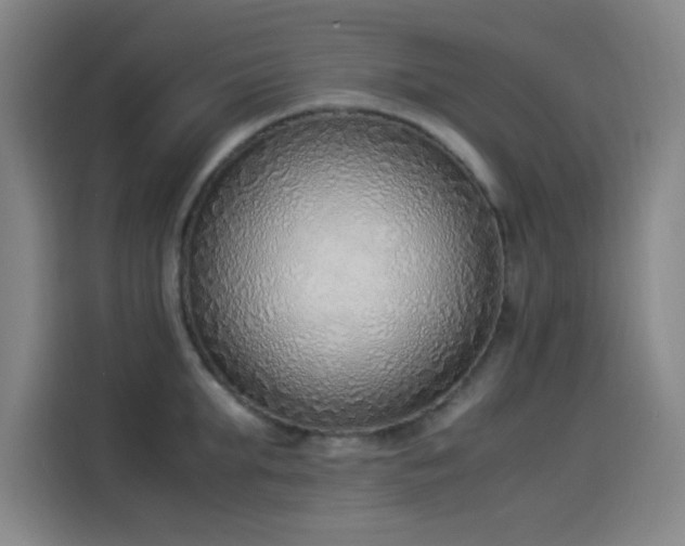 X0000114220903200910161305