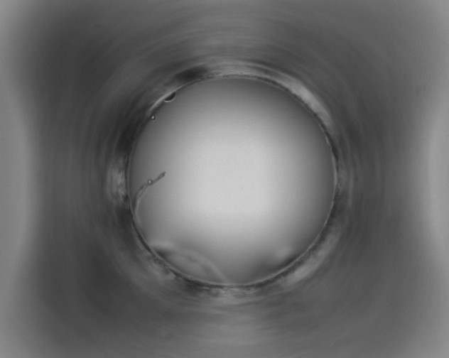 X0000114220905200910161305