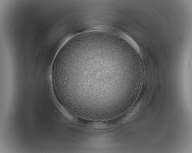 X0000114220907200910161305