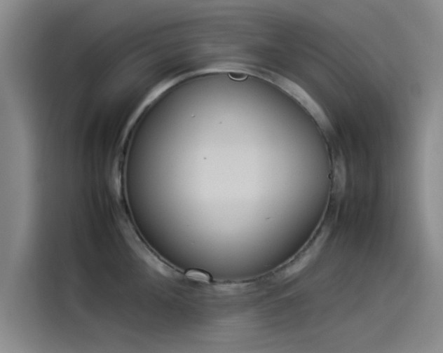 X0000114220908200910161305