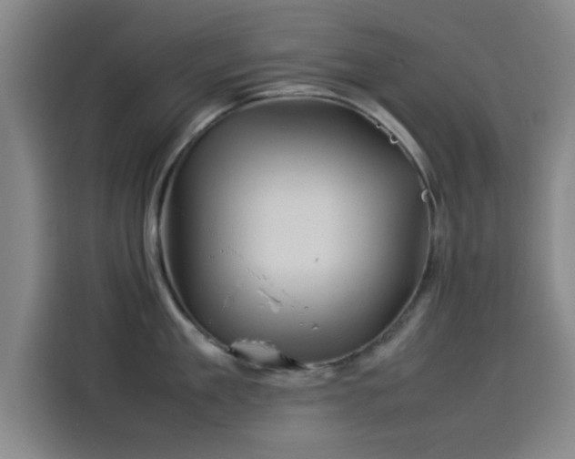 X0000114220909200910161305