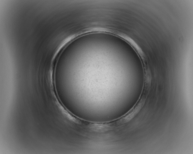 X0000114220910200910161305