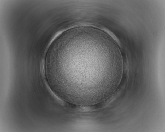 X0000114220911200910161305