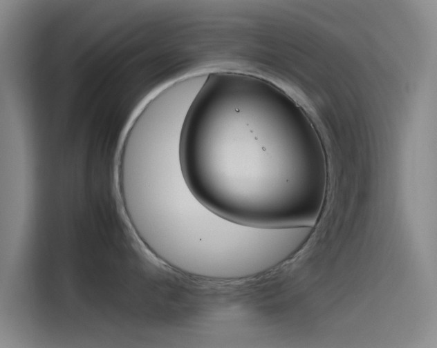 X0000114220912200910161305