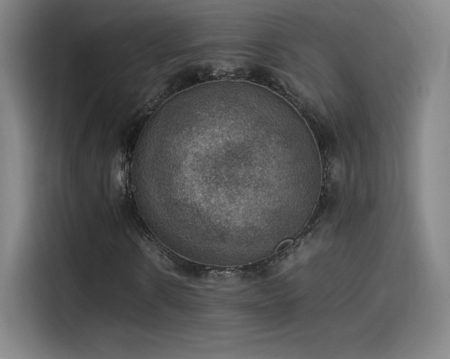 X0000114220914200910161304