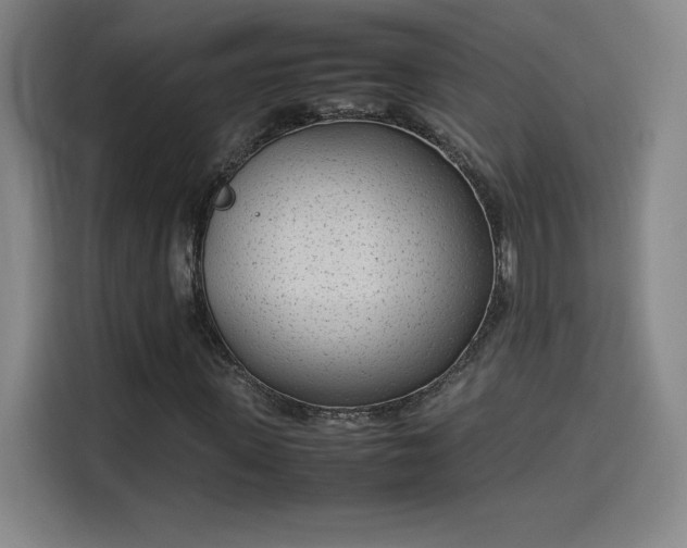 X0000114220915200910161304